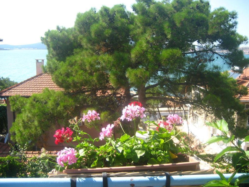 Mavi Pension Ayvalik Exterior foto
